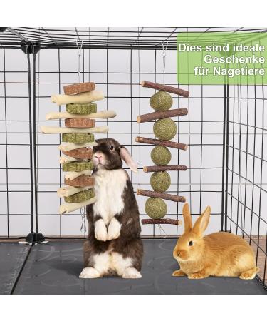 Fantesi 2-Piece Rabbit Toys Set - Kieletzeiten & Kachtiele with Apple Wood Chew Timothy Hay Sticks & Carrot Cake | Ideal Dental Care for Bunnies Hamsters Mice & Chinchillas - International Shipping Available - Buy Online on SooperMarket.com