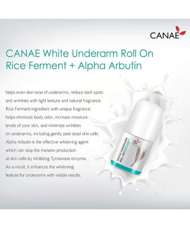CANAE Underarm Skin Renewal Roll On: Best Natural Deodorant with Alpha Arbutin + Rice Ferment - Aluminum Free, for Sensitive Skin, Women and Men - Travel Size - Buy Online on SooperMarket.com