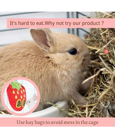 JanYoo Bunny Feeder Hay Bag for Rabbits Guinea Pig Cage Manger with Hooks Food Dispenser Storage Hanging for Chinchilla E-Straberry+Carrot Pack of 2 - Buy Online on SooperMarket.com