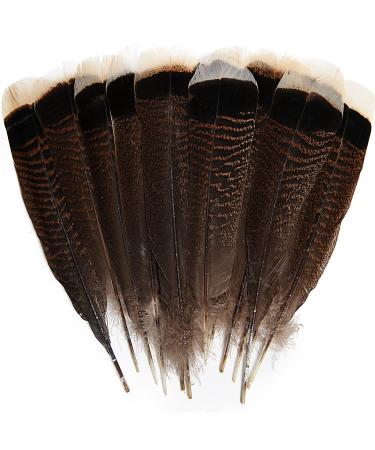 THARAHT 24pcs Natural Wild Turkey Tails Feathers Quill Bulk 6-8inch 15-20cm for DIY Crafts Project Collection Wedding Decoration Wild Turkey Tails Feather 6-8