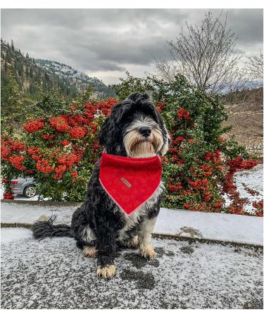 Shop Lionheart Glory Dog Haller 1 Packer Washable Cotton Christmas Neck Towel | Adjustable Red Kerchief for Large Dogs - Buy Online on SooperMarket.com