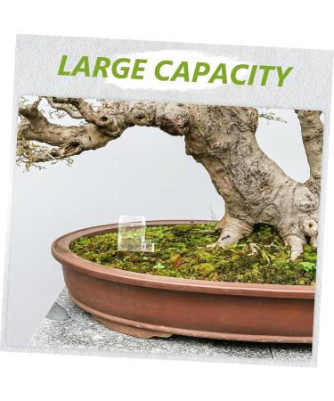 Kisangel 2pcs Pet Water Feeder Insect Feeder Transparent Ants Feeding Cup Insect Water Feeder Plastic - Buy Online on SooperMarket.com