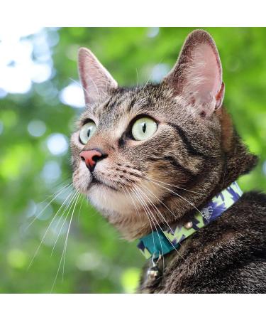 Kittyrama Botanical Cat Collars - Hypoallergenic Quick Release Veterinarian Approved - Award-Winning Comfort for Cats & Kittens - Buy Online on SooperMarket.com