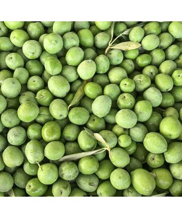 GUSTU Castelvetrano Olives 7.1 lbs Premium Green Whole Olives Farmed in Sicily Italy Buttery Smooth Flavor Dried Weight: 5.5 lbs Whole (5.5 lbs) - Buy Online on SooperMarket.com