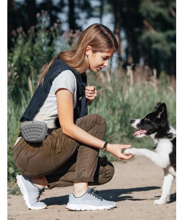Gobeigo Silicone Dog Treat Bag & Training Clicker - Magnetic Closure for Treats Puppy Training & Dog Walks - Gray Hip Belt Fanny Pack - Buy Online on SooperMarket.com