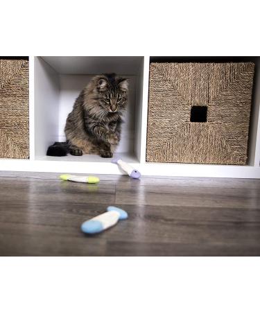 SmartyKat Crinkle Fish Catnip Toys for Cats & Kittens - Stimulating and Fun Play - 9-Set, Multiple Styles - Buy Online on SooperMarket.com