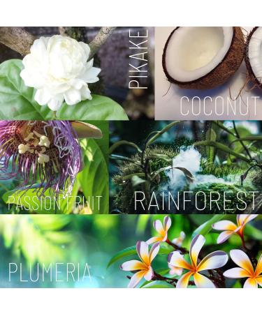 Ola Tropical Apothecary Coconut Sugar Polish - Pure Tropical Oils & Plant Extracts - 11.6 Oz | Exfoliate & Nourish Your Skin - Buy Online on SooperMarket.com