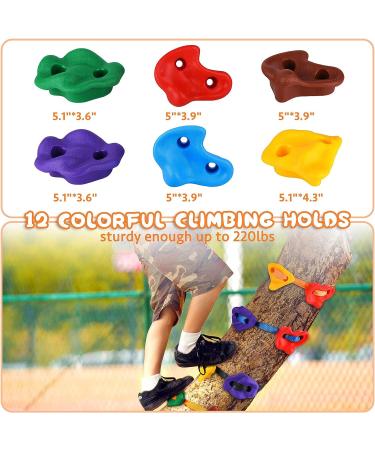 Happy Motte Tree Rock Climbing Holds for Kids - 12 Holds with 6 Ratchet Straps for Warrior Obstacle Course - Outdoor Playground Backyard Accessories - Buy Online on SooperMarket.com