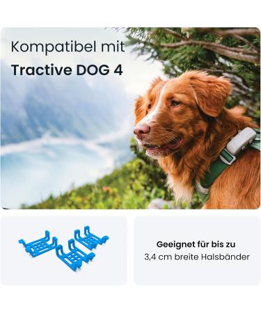 Shop Tractive GPS Tracker for Dogs - Extra Large Rubber Clips (Pack of 3) - Blue | International Shipping Available - Buy Online on SooperMarket.com