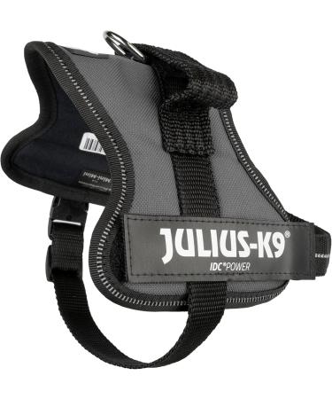 Buy K9 Powerharness XS/Mini-Mini in Anthracite | Premium Dog Harness for Comfortable International Shipping - Buy Online on SooperMarket.com