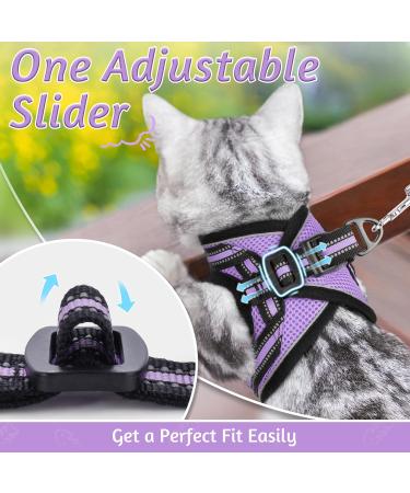 Rabbitgoo Cat Dishes Set - Stylish Cat Linen with Leash | Perfect for Cats | International Shipping - Buy Online on SooperMarket.com