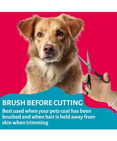 Mikki Double Thinning Grooming Scissors - Pet Shears for Thick Coats - Buy Online on SooperMarket.com