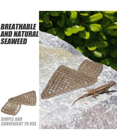 POPETPOP Reptichip 2pcs Lizard Hammock Jungle Climber Reptile Lizard Bearded Dragon Hammock Reptile Lounger Hammock Bed for Anoles Bearded Dragons Geckos Iguanas Hermit Crabs Jungle Toys - Buy Online on SooperMarket.com