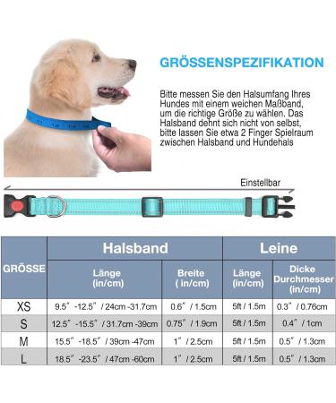Haapaw Reflecting Dog Collar - Padded Neoprene Breathable Nylon for Small & Medium Dogs - Turquoise - Durable & Comfortable (1-Pack) - Buy Online on SooperMarket.com