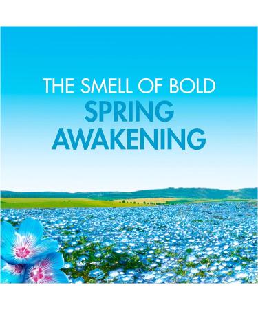 Bold 2in1 Washing Liquid Spring Awakening 1.995L - 57 Washes - Floral Scent - Pack of 1 - Buy Online on SooperMarket.com