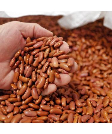 3 x Camil Brazilian Pinto Beans 1Kg | Premium Selection | Frijol Haricots Feijao Carioca | GMO Free | Naturally Gluten Free | Vegan | High Fibre & Protein - Buy Online on SooperMarket.com