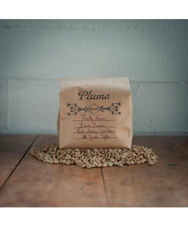 Costa Rica, Finca Berina, Geisha, Red Honey Process, Unroasted Premium Green Coffee Beans 2lb Red Honey Geisha small