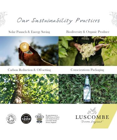Luscombe Organic Apple Juice (12x27cl) - Natural Ingredients, No Added Sugar, Vegan & Gluten Free - Rich in Vitamin C - Buy Online on SooperMarket.com