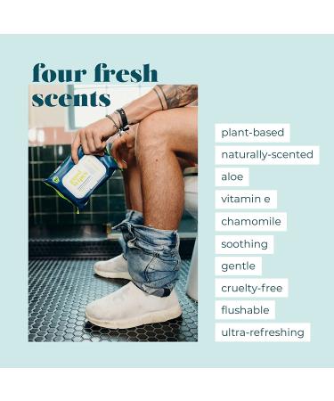 Goodwipes Flushable Butt Wipes - Aloe & Botanicals, Gentle & Soothing Wet Wipes | 240 Count, Septic Safe, Home Dispenser | 4 Pack Variety - Buy Online on SooperMarket.com