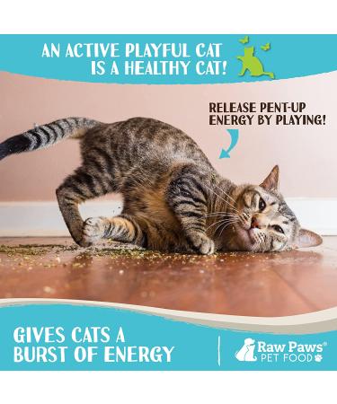 Raw Paws Pet Natural Catnip 1-oz - Premium Loose Catnip Leaf for Cats - Potent Refill for Toys - Cat Catnip Herb Dried - Buy Online on SooperMarket.com