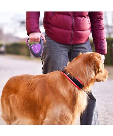 Ferplast Flippy Tech Dog Leash - Extendable 5m Roller Leash for Large Dogs up to 50kg - Durable Black with Locking Button - Buy Online on SooperMarket.com