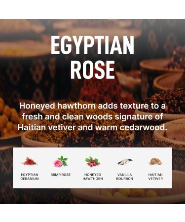 Buy Laundry Sauce Egyptian Rose Dryer Sheets – Eco-Friendly Fabric Softener for Fresh Laundry | Free International Shipping - Buy Online on SooperMarket.com