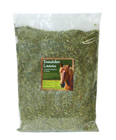 Horse Herbs Dandelion Leaves Cut - Natural Feed Supplement for Horses Equine (1kg Bag)