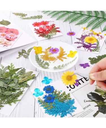 109 Piece Real Dried Pressed Flowers Set with Tweezers - Craft DIY Candle Resin Jewelry Nail Pendant Making Supplies - Buy Online on SooperMarket.com