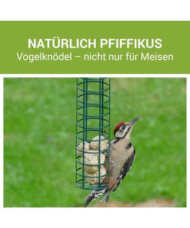 Pfiffikus Meisenkn del - 45 Sustainable Insect Fat Bird Feed Balls | Premium Year-Round Game Bird Nutrition - International Shipping - Buy Online on SooperMarket.com