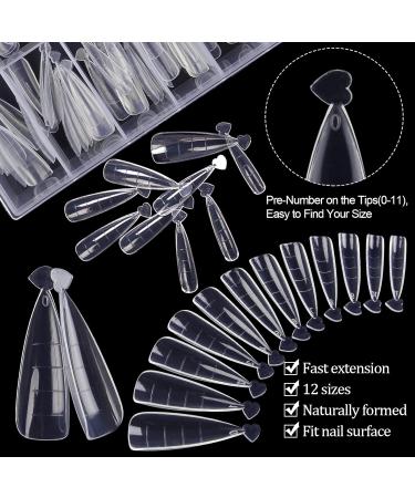 Kalolary 120Pcs Clear Dual Nail System - MOOLD ACYLL Stiletto Nail Extension Tips for Nail Art | 12 Sizes with Scale for Perfect Manicure - Buy Online on SooperMarket.com