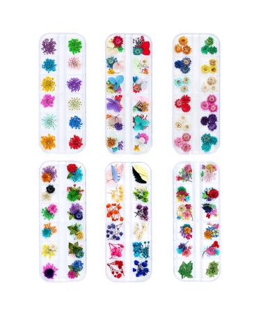 iFancer Dried Flowers for Resin Craft Nail Art Mix Small Mini Dry Flowers (Pack of 6 Boxes, About 260 PCS) 6 Boxes 260pcs