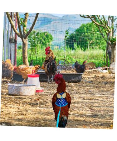 CORHAD Chicken and Duck Vest Hen Leash Chicken Lead and Harness Small Dog Harness Rooster Costume Pet Leash 17X15X0.5CM Blue - Buy Online on SooperMarket.com