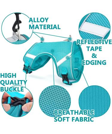 Premium Cat Dishes with Leash | Reflective Cat Patrol Gear for Safe Adventures - Buy Online on SooperMarket.com