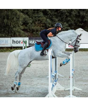 HORZE Horse Bridle Sion Premium English Noseband Bridle & Reins for Ponies Brown Size P | International Shipping Available - Buy Online on SooperMarket.com