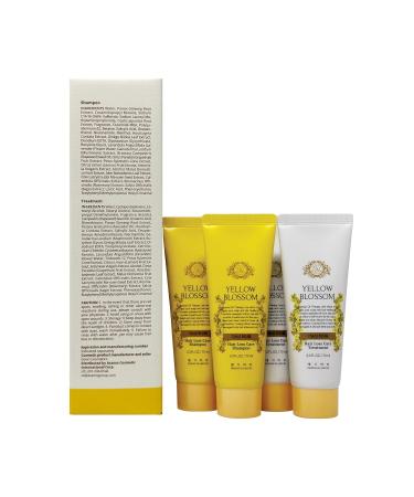 Daeng Gi Meo Ri Hair Care Set - Yellow Blossom Shampoo 500ml + Samples | Anti-Frizz Paraben Free Colza Scent - International Shipping Available - Buy Online on SooperMarket.com