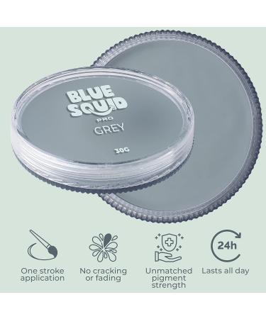 Blue Squid PRO Face Paint - Classic Grey 30g - Water Activated Professional Face & Body Paint for Adults & Kids - Halloween SFX Makeup - Buy Online on SooperMarket.com