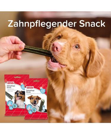 Beaphar Dental Sticks for Small Dogs - Natural Sea Algae Dental Care Snack 7 Pieces 112g - Sugar-Free Treats for Healthy Teeth - Buy Online on SooperMarket.com