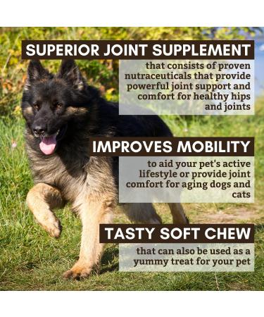 Wholistic Pet Organics Run Free Dog Joint Health Supplement - 120 Natural Hip and Joint Soft Chews for Mobility Support - Buy Online on SooperMarket.com