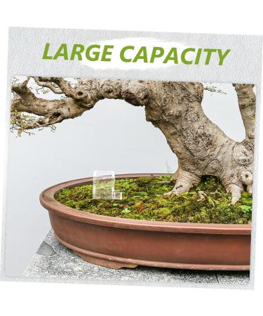 BCOATH Pet Water Feeder Ants Feeding Bowl Ant Feeding Bowl Water Bowl for Ants Mini Liquid Feeder Plastic - Buy Online on SooperMarket.com