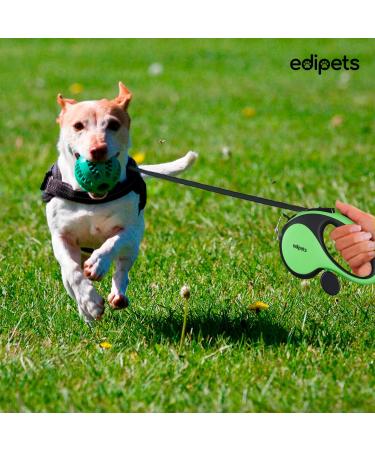 Edipets Green 5m Extendable & Retractable Dog Leash - Flexible Training Leash for Small Medium & Large Dogs - Buy Online on SooperMarket.com