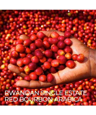 Kivu Noir Specialty Fair Trade Red Bourbon Arabica Espresso Roast Coffee - 453g Pack - Buy Online on SooperMarket.com