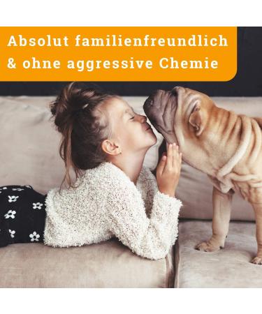 Buy Awiwa Odor Neutralizer & Cat Urine Stain Remover (1L) - Effective Pet Odor Control for Dogs & Cats | International Shipping Available - Buy Online on SooperMarket.com