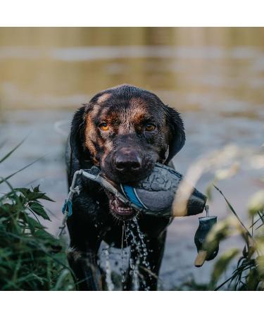 HP & G Home Pets & Garden Apportier Dummy Stockente - 40cm Dog Training Dummy Durable & Robust Ideal for Enhanced Pet Training - Buy Online on SooperMarket.com