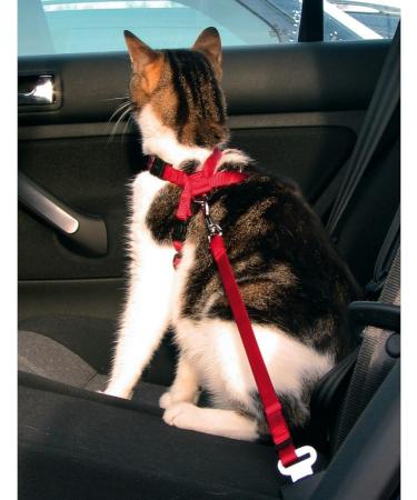 Buy Trixie Car Point for Cats - 1 Piece (Red) | International Shipping & Best Prices - Buy Online on SooperMarket.com