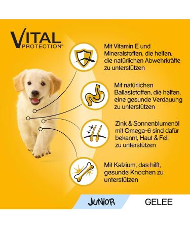 PEDIGREE Vital Protection Junior Pouches - Chicken & Rice in Jelly 24 x 100g | Premium Dog Food for Healthy Growth - Buy Online on SooperMarket.com