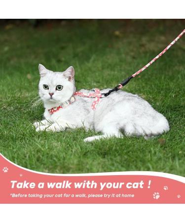 Petom Flower Pattern Cat Dishes & Leash Set | Round Lanyard for Cats - Shop Internationally! - Buy Online on SooperMarket.com