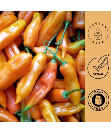 Chatica Bundle of 3 x Chatica Pasta de Aji Amarillo 227g - Yellow Hot Pepper Paste - Authentic Peruvian Flavour - Buy Online on SooperMarket.com