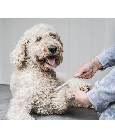 Mikki Puppy Stainless Steel Comb & Slicker Brush Set for Doodles & Cockapoos - Blue/Grey Small Grooming Kit - Buy Online on SooperMarket.com