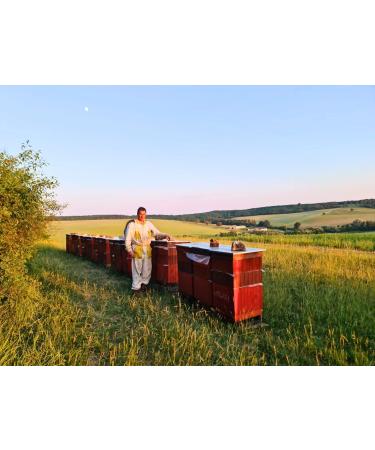 Pure Blackberry Acacia Honey - 500g | Raw & Natural | Ethically Harvested | Boosts Vitality and Immunity | Sustainable Packaging - Buy Online on SooperMarket.com