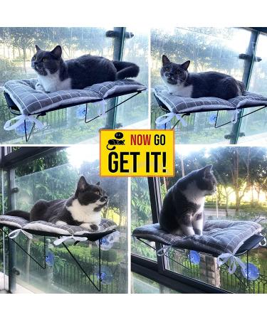 Cat Window Perch Hammock Seat with 4 Suction Cups for 360 Sunbathing and Napping - Indoor Cat Bed - Buy Online on SooperMarket.com
